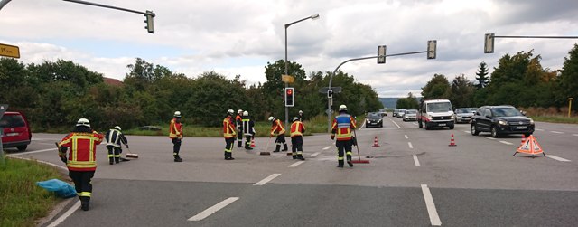 DSC_0394 zugeschnitten groß.jpg